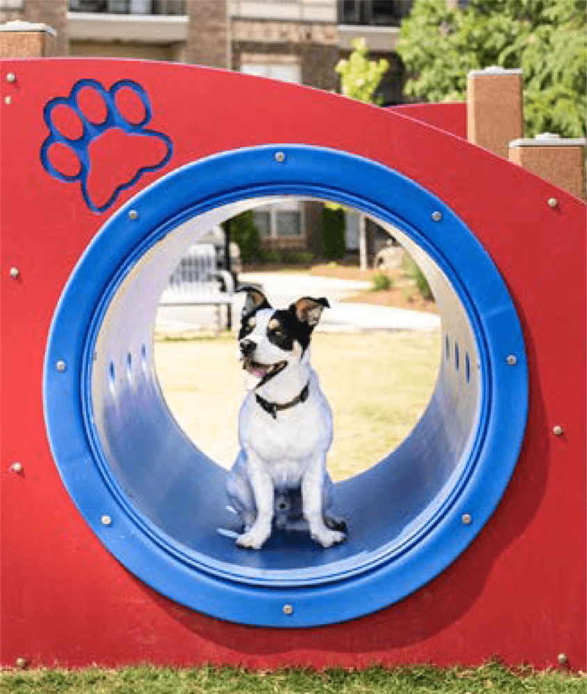 Types of Park Equipment  - Dog Park Equipment